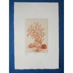Corail (imprimée en sanguine)