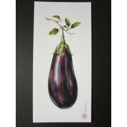Aubergine