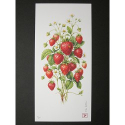 Fraise