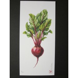Beet