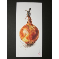 onion