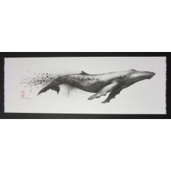 Baleine