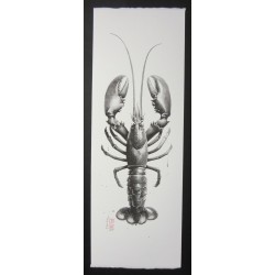 Homard