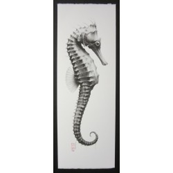 Hippocampe