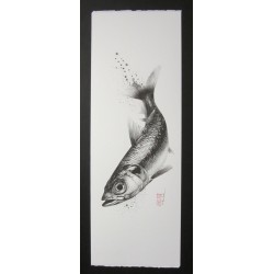 Sardine
